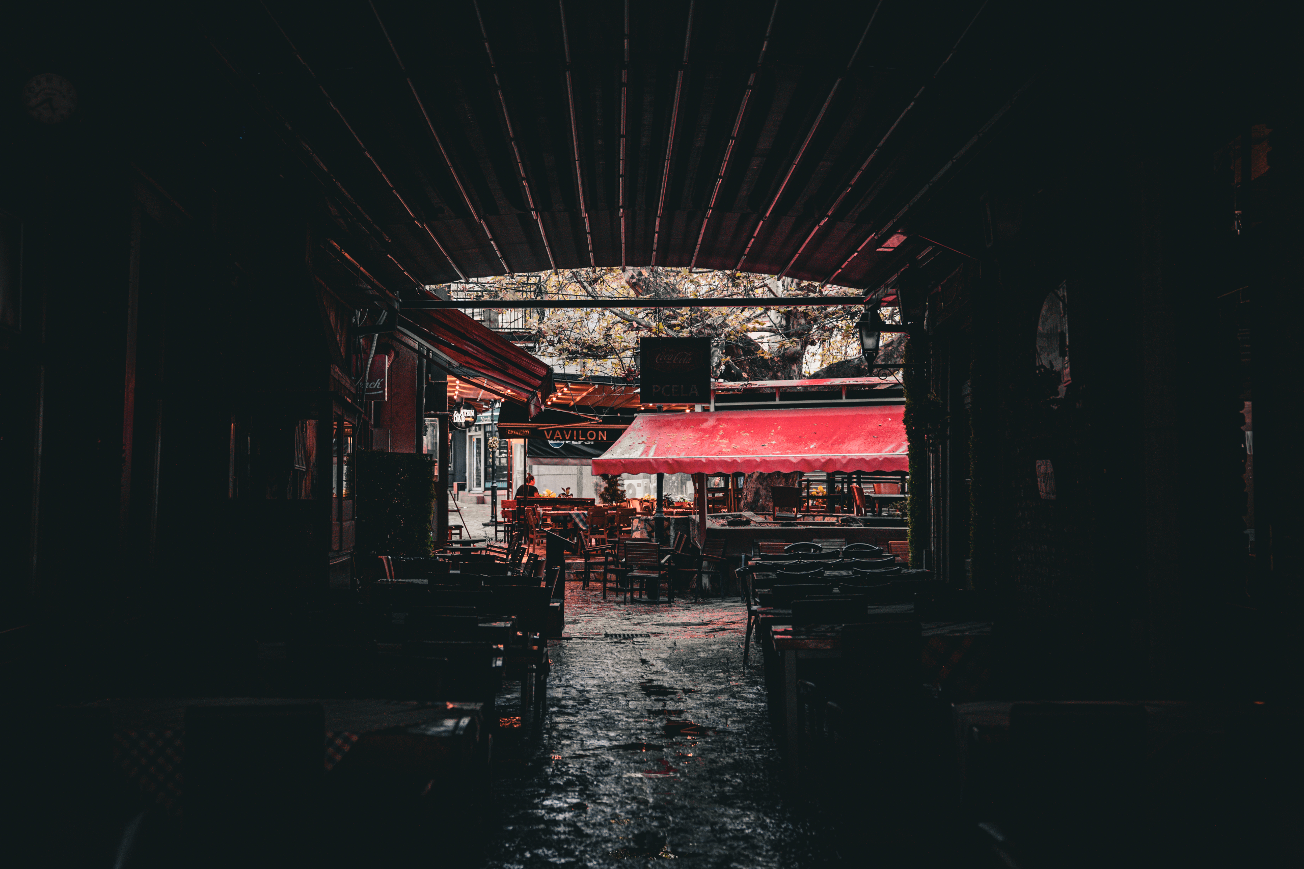 Photograph taken in North Macedonia by Karl Evans.