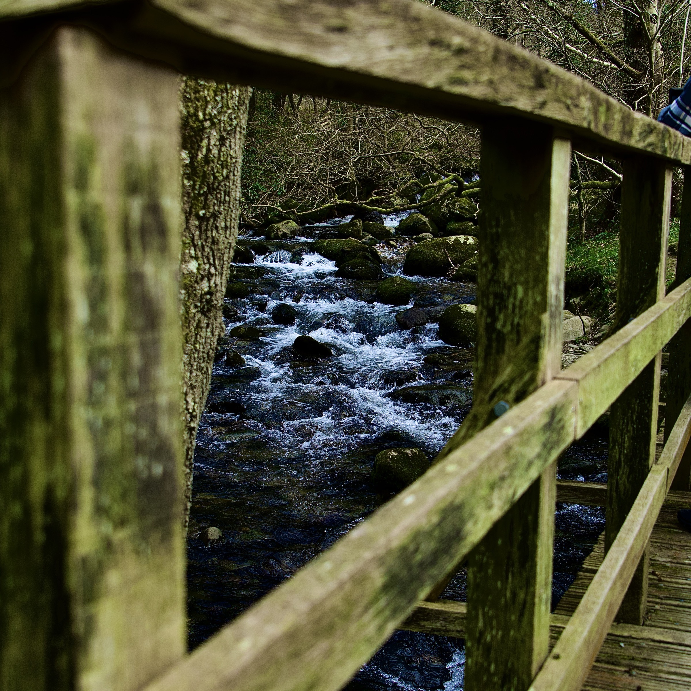 Photograph taken in United Kingdom by Karl Evans.