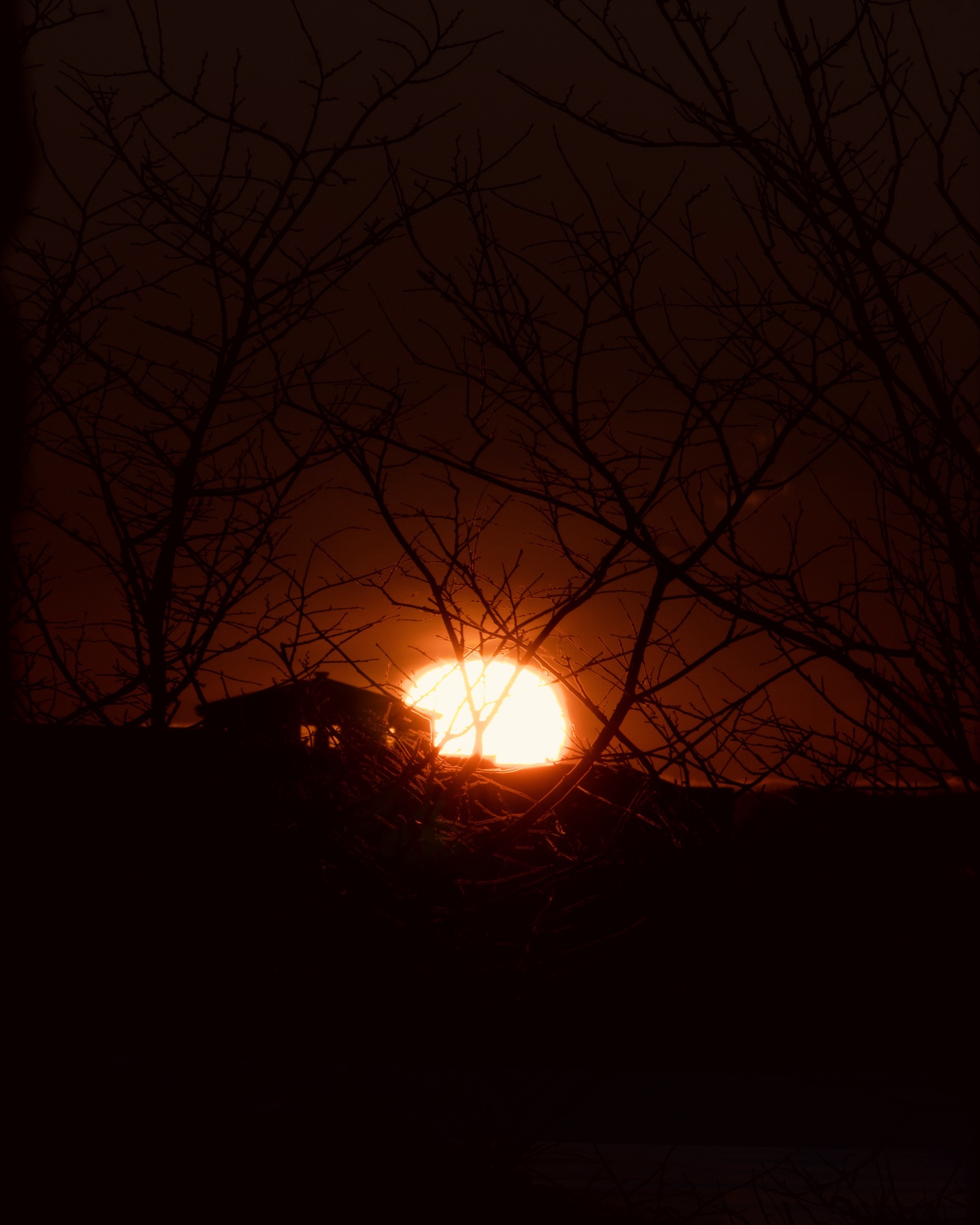 Photograph taken in Sweden by Karl Evans.