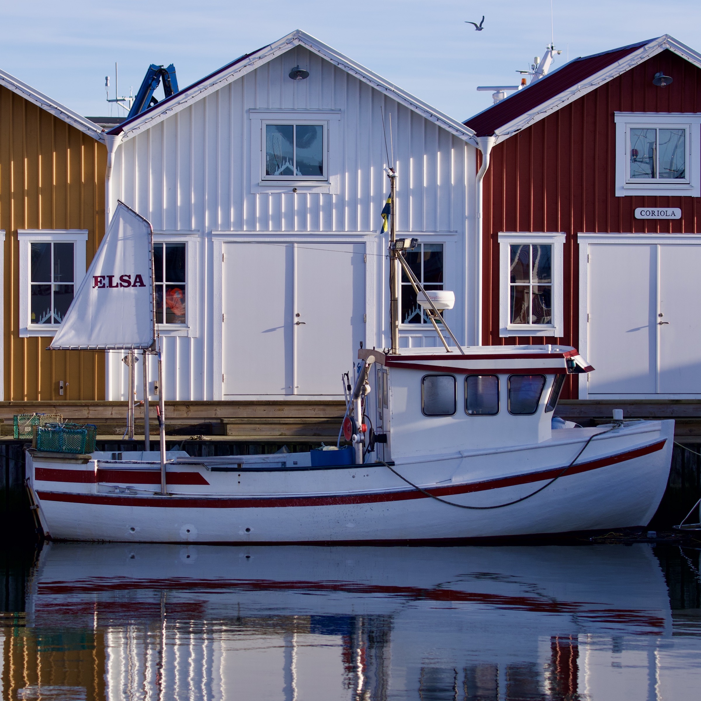 Photograph taken in Sweden by Karl Evans.
