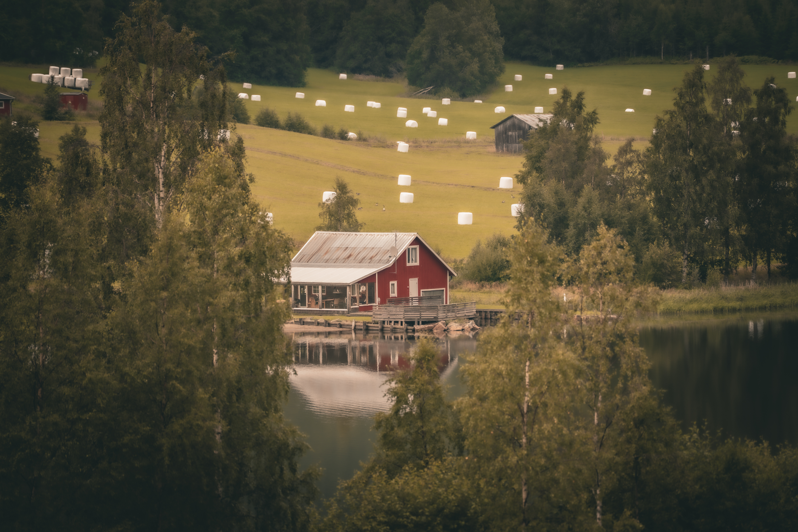 Photograph taken in Sweden by Karl Evans.