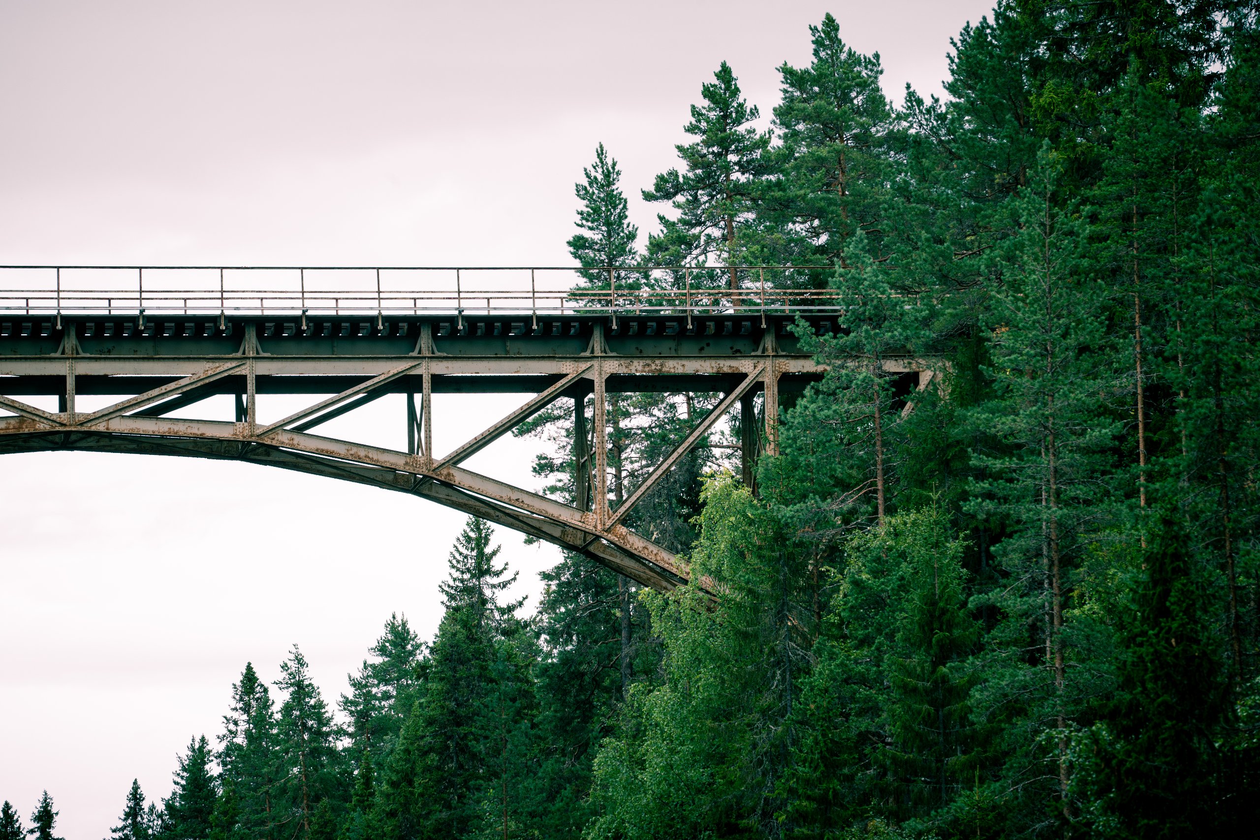 Photograph taken in Sweden by Karl Evans.