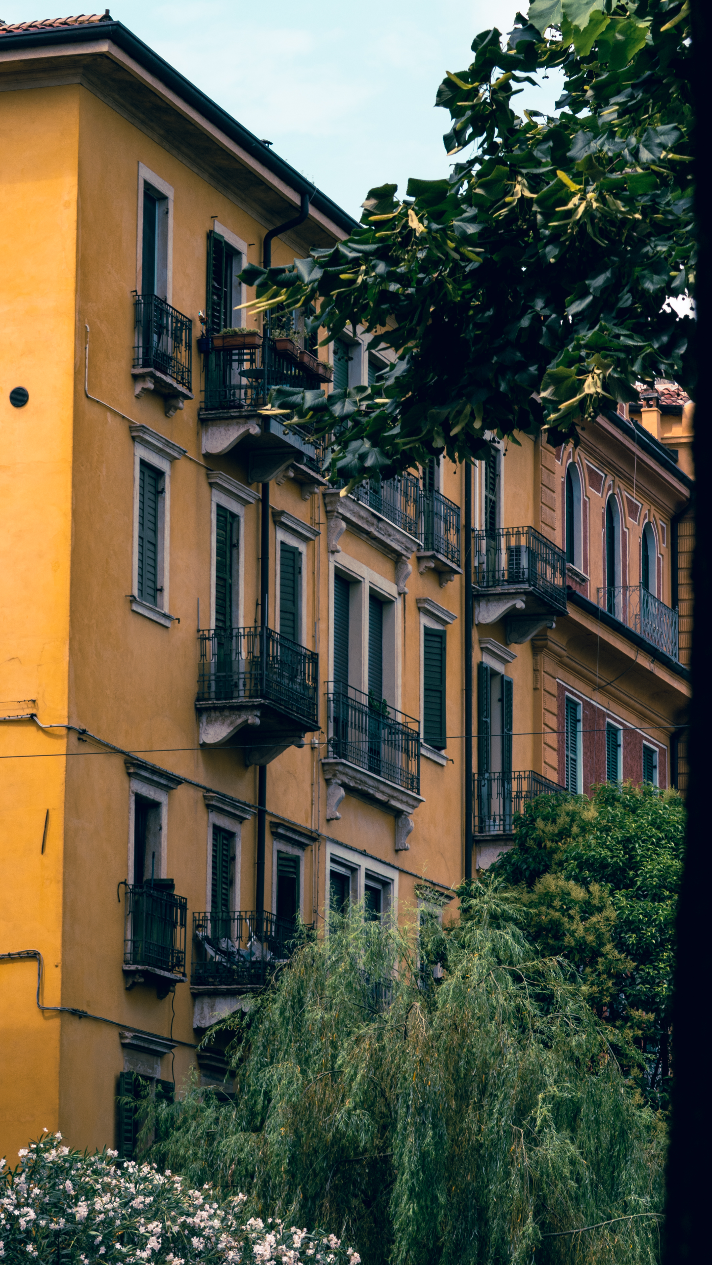 Photograph taken in Italy by Karl Evans.