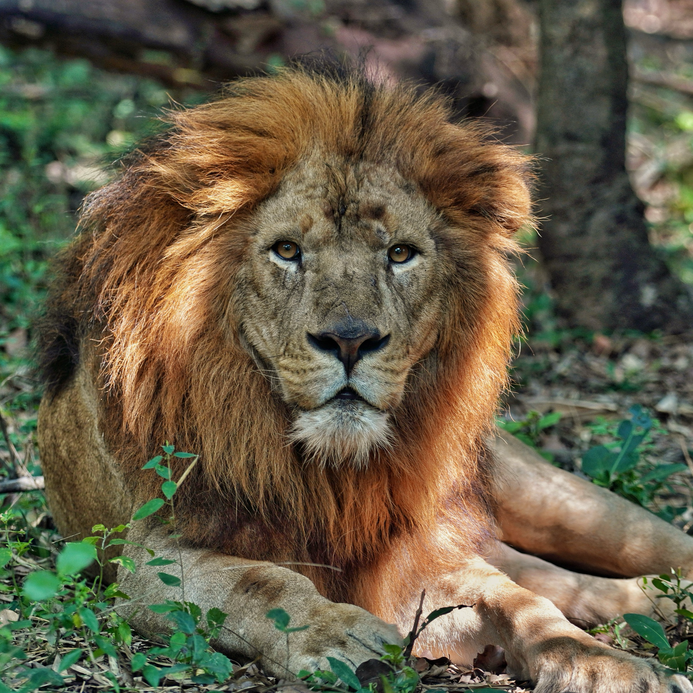Photograph taken in India by Karl Evans.
