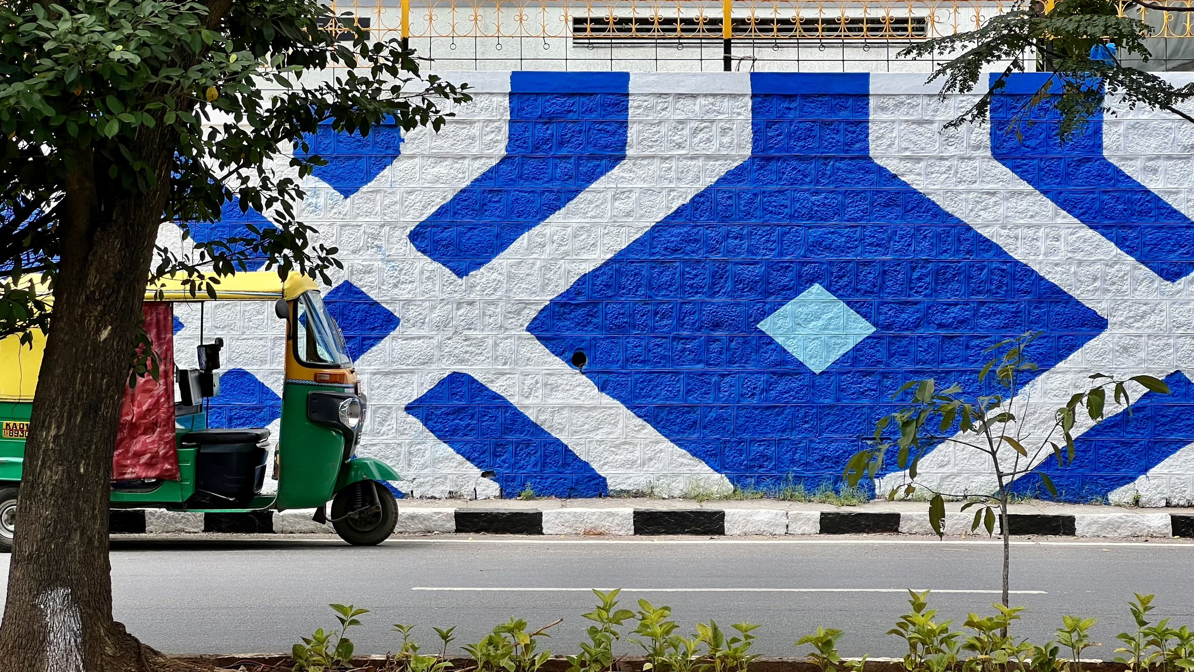 Photograph taken in India by Karl Evans.