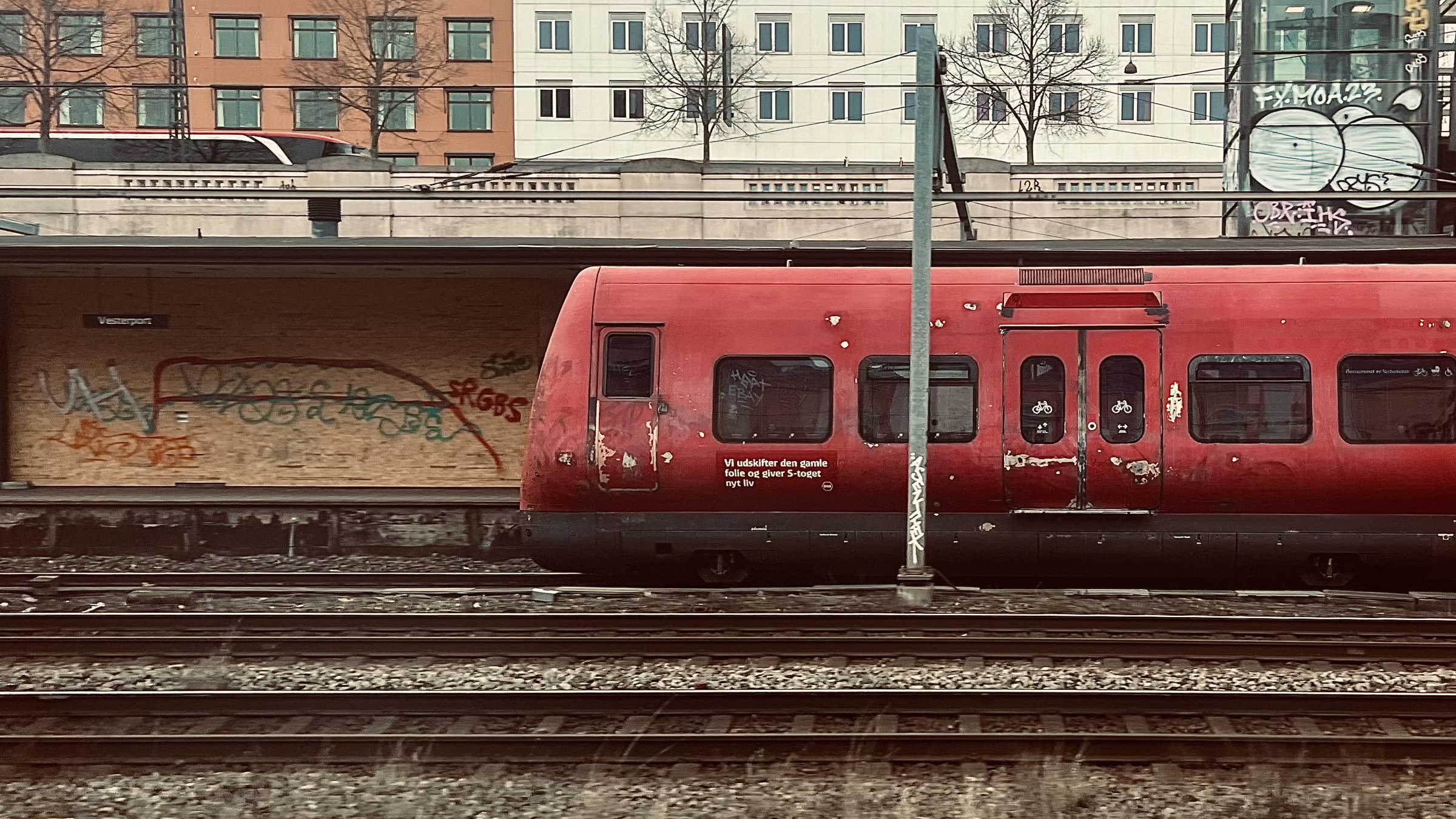 Photograph taken in Denmark by Karl Evans.