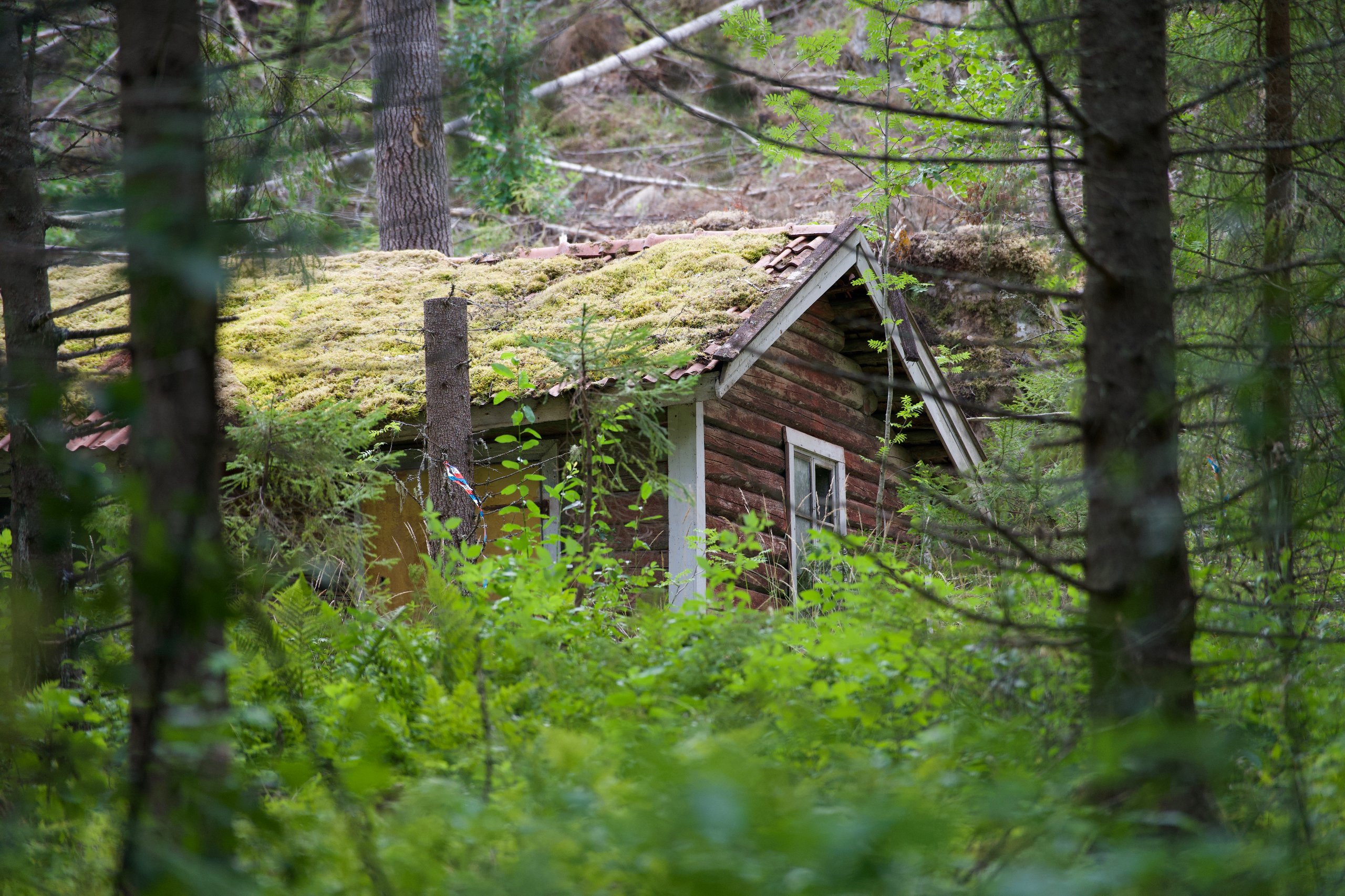 Old abandoned hut in the forrest deep in northern Sweden