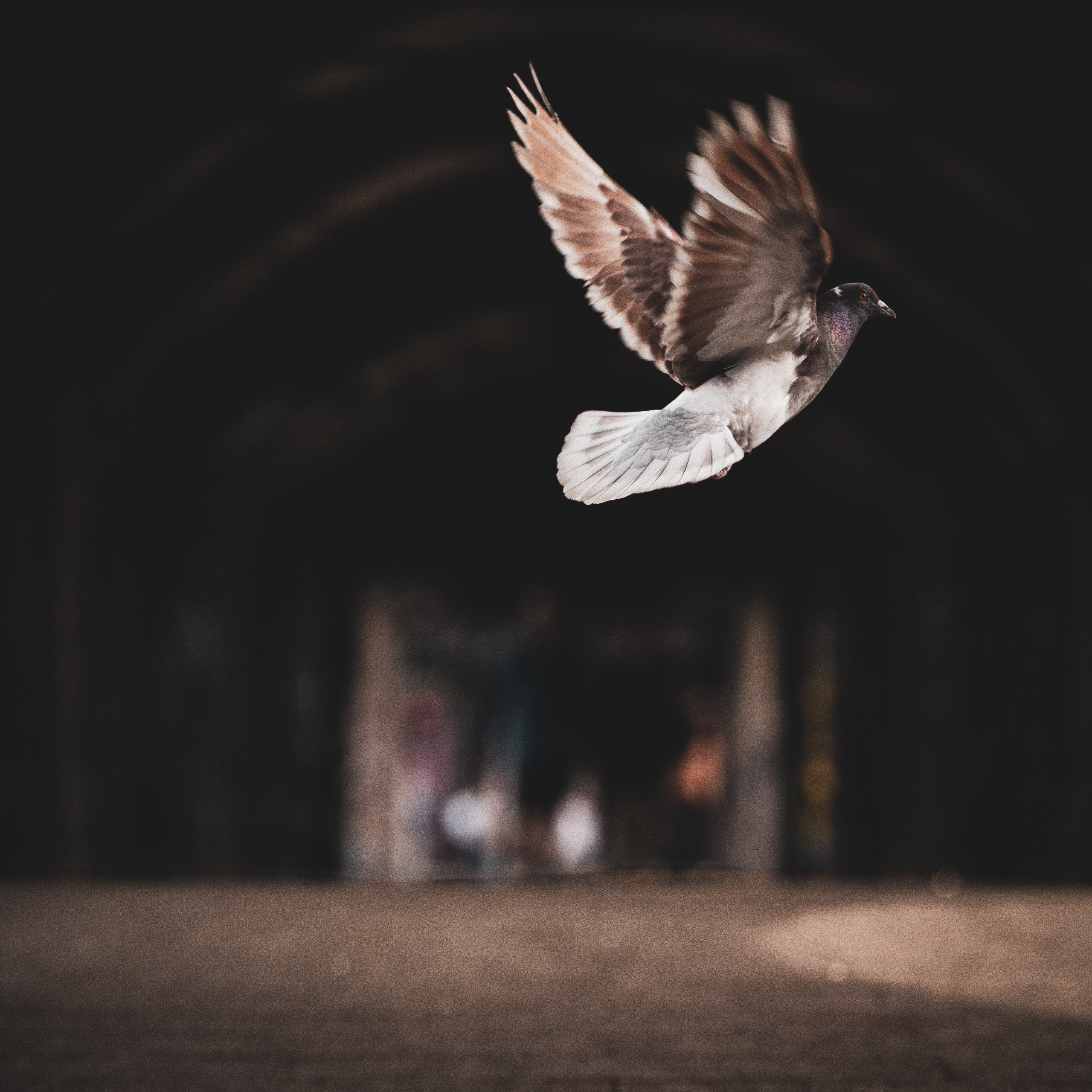 Take off — Germany. Photograph by Karl Evans.