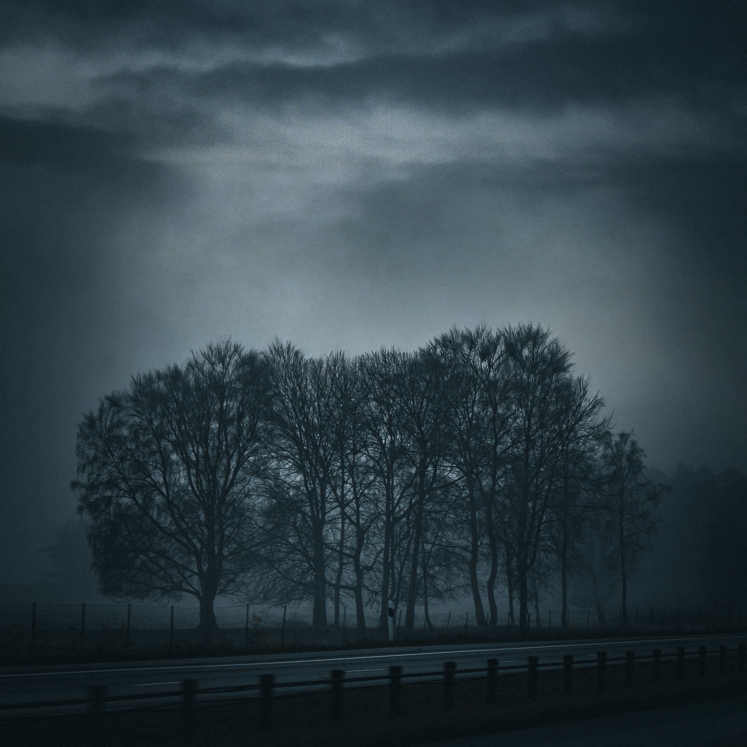 Dramatic trees